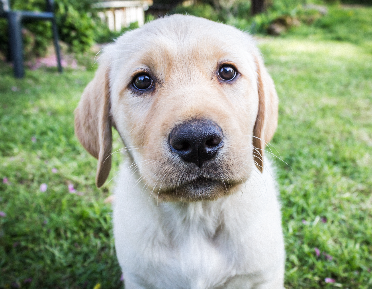 Screen Shot 2018-06-24 at 7.16.37 PM.png