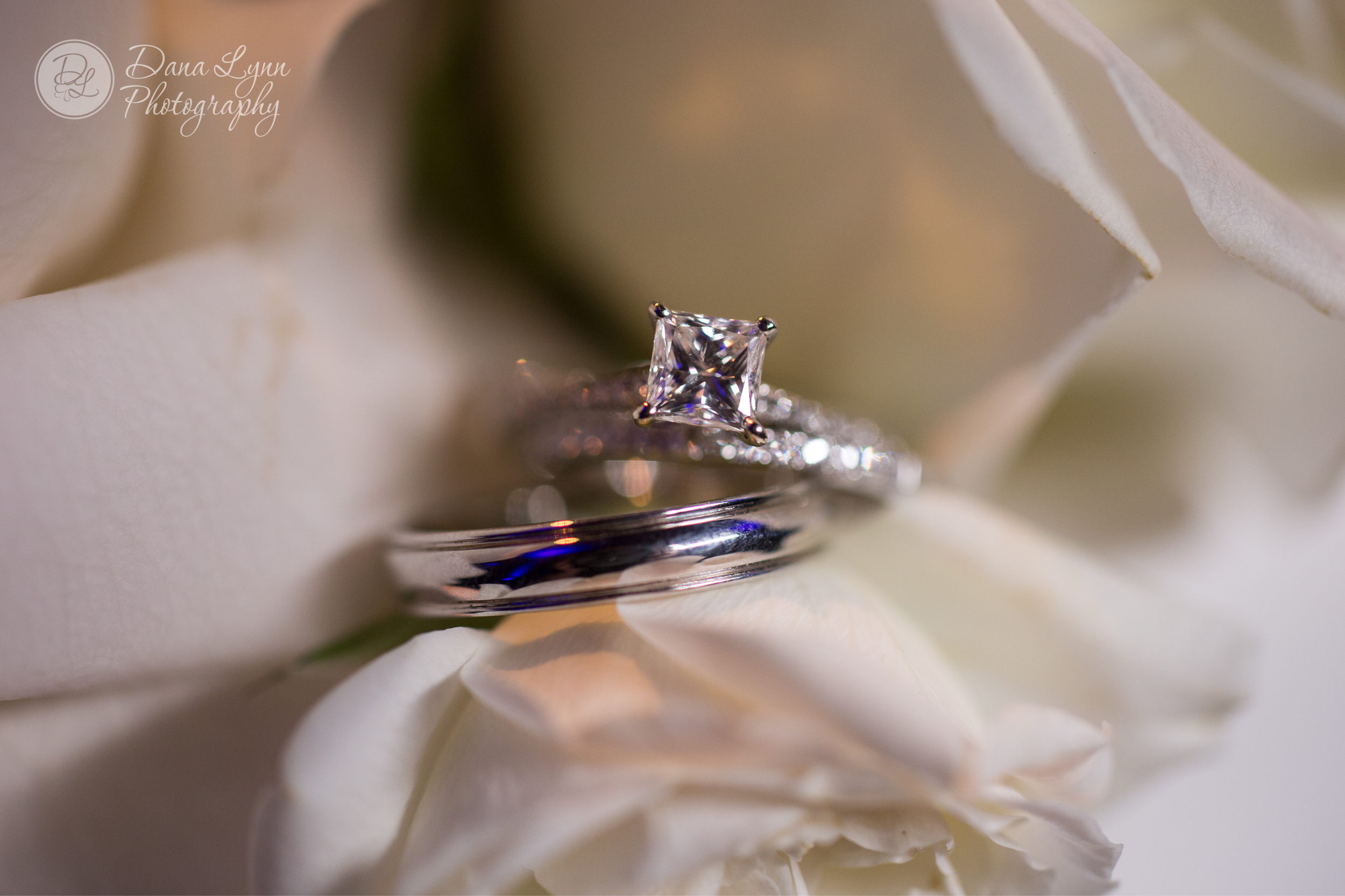 Wedding Photography by Dana Lynn Photography at the Rusty Pelican in Key Biscayne FL