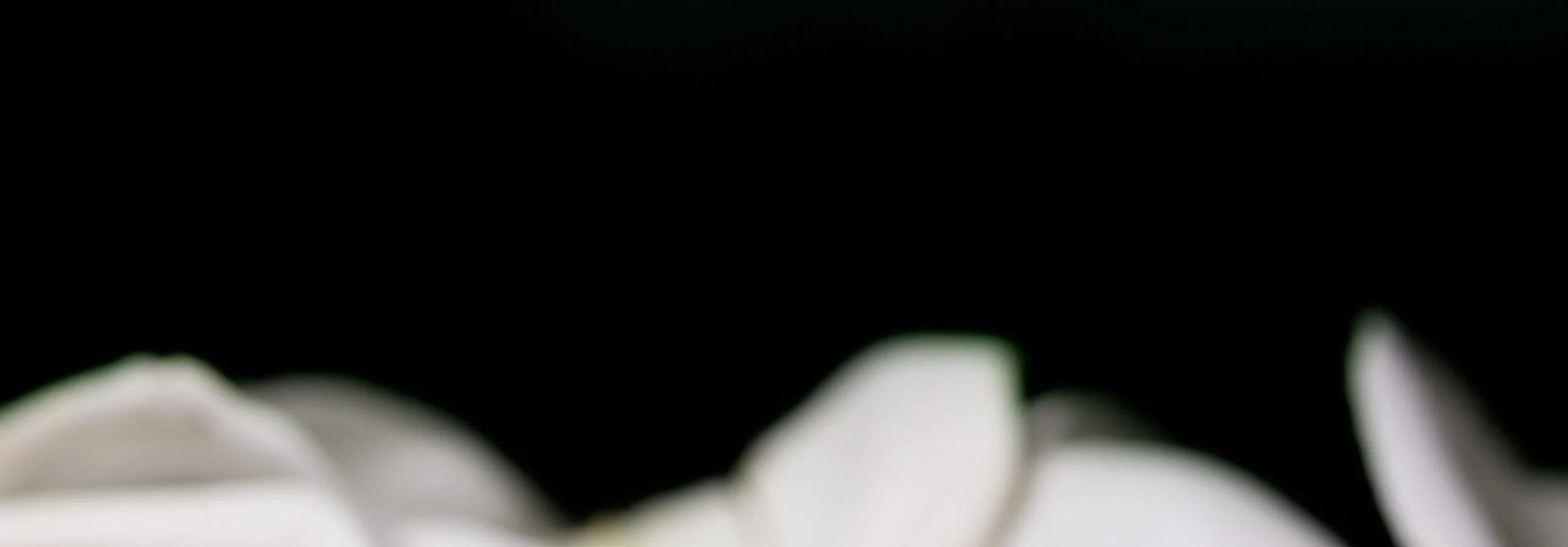 Eden_BLOG_POST__0101.jpg