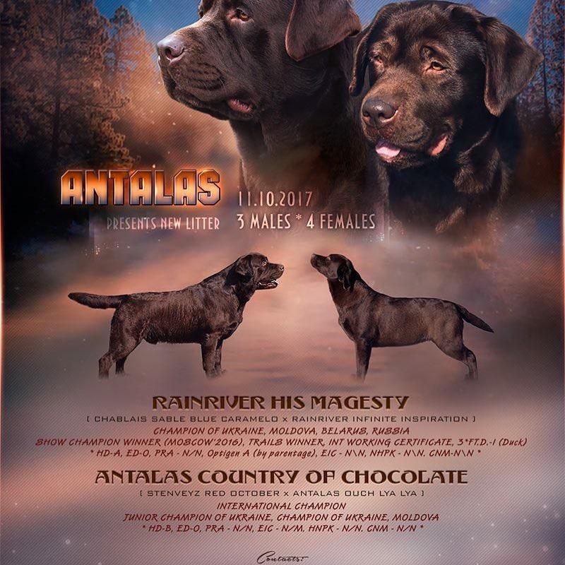 Majesty and Antalas.jpg