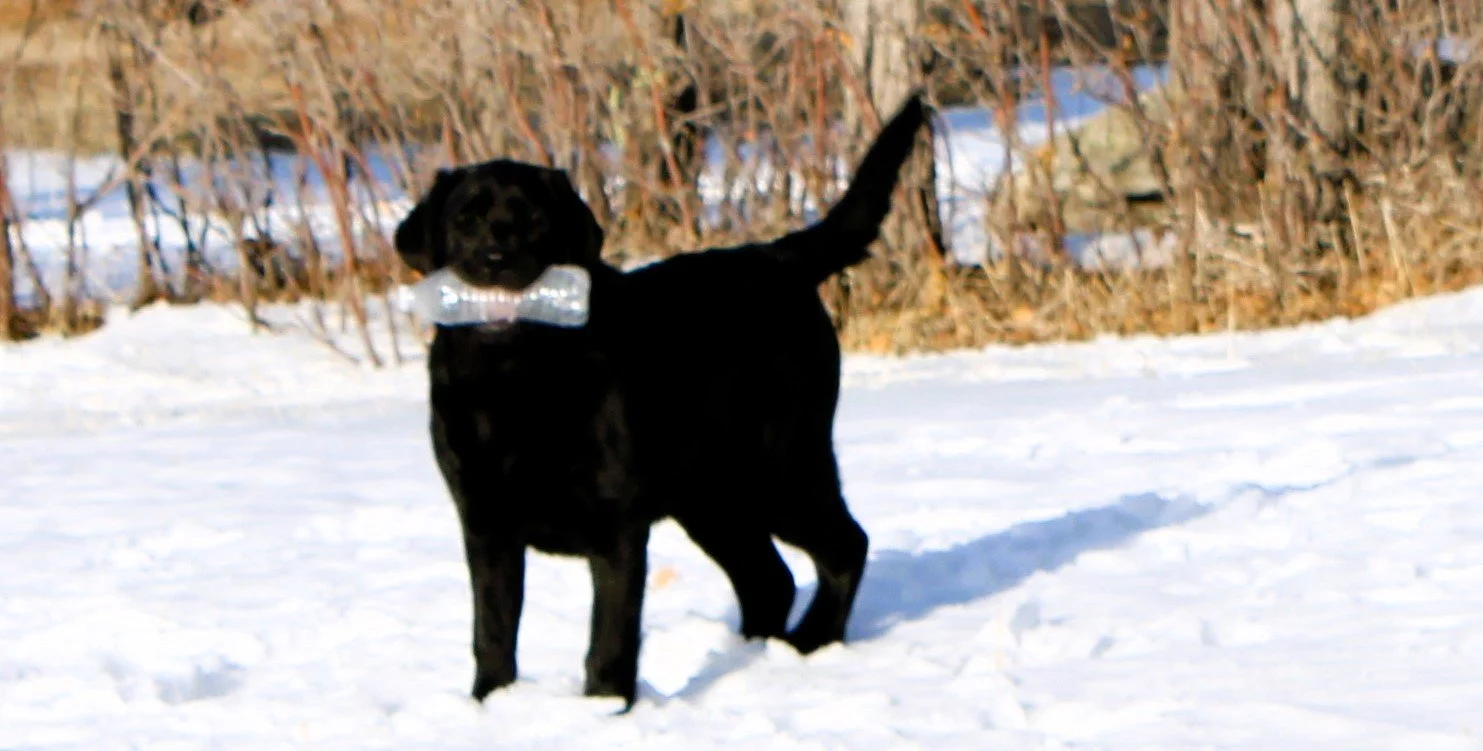 Kandle standing w water bottle.JPG