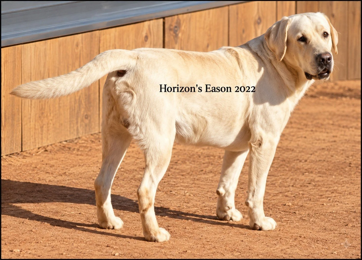 EASON 3.jpg