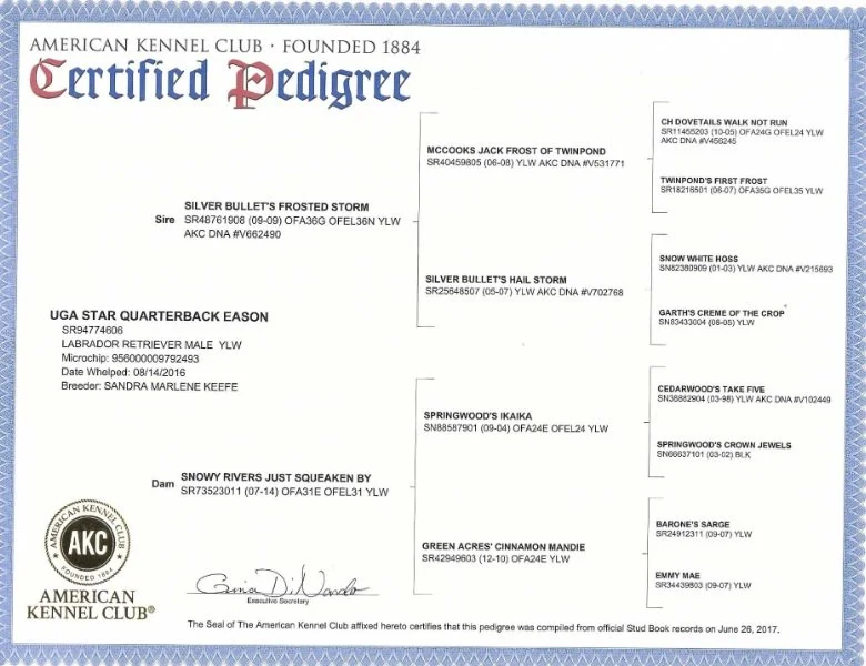eason pedigree.jpg