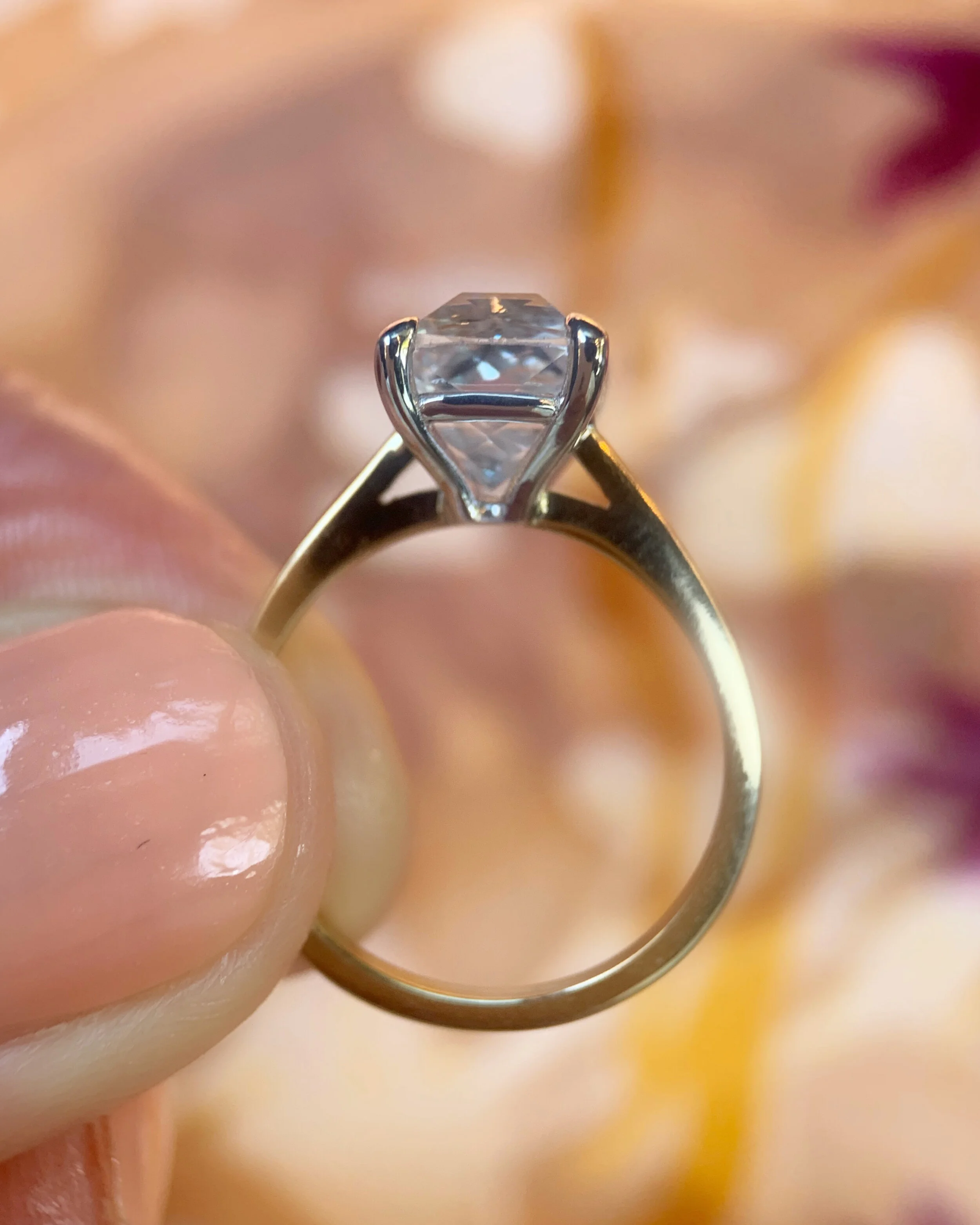 C7BC9DC0-7BD7-4129-BBEC-1EBCDC4C0298 3.JPG