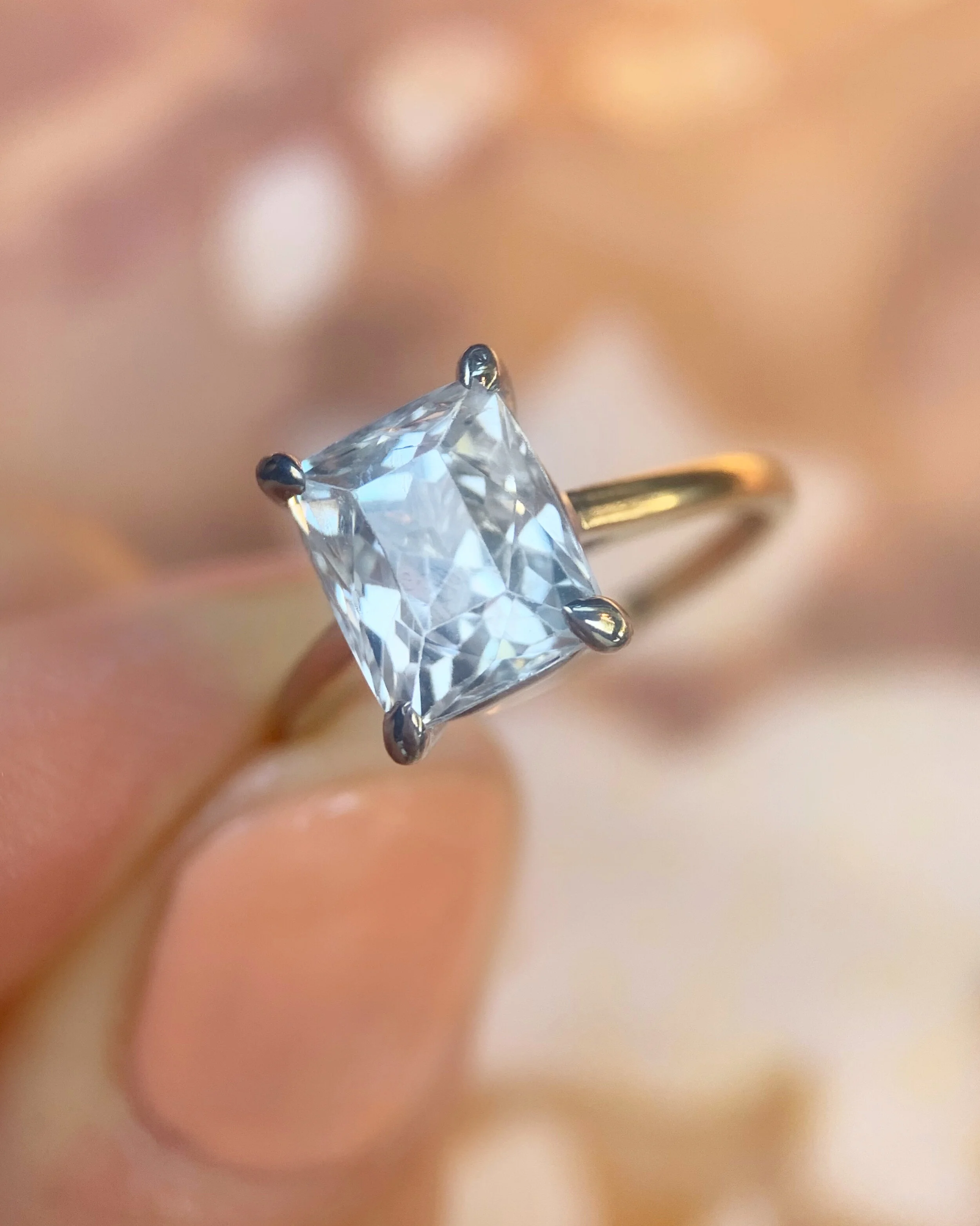 7EF974A2-C137-4DB7-99D9-DAE34BDF61BE 3.JPG