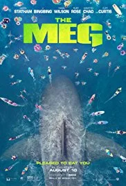 THE MEG