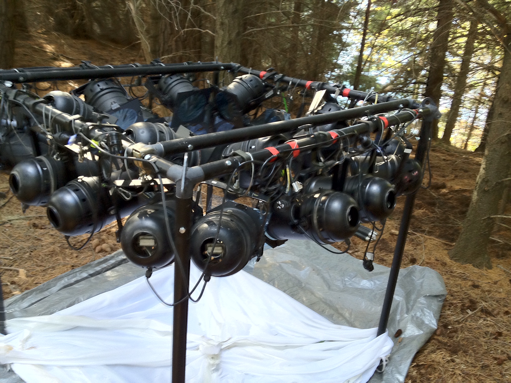 Celine with parcans before skinning.JPG