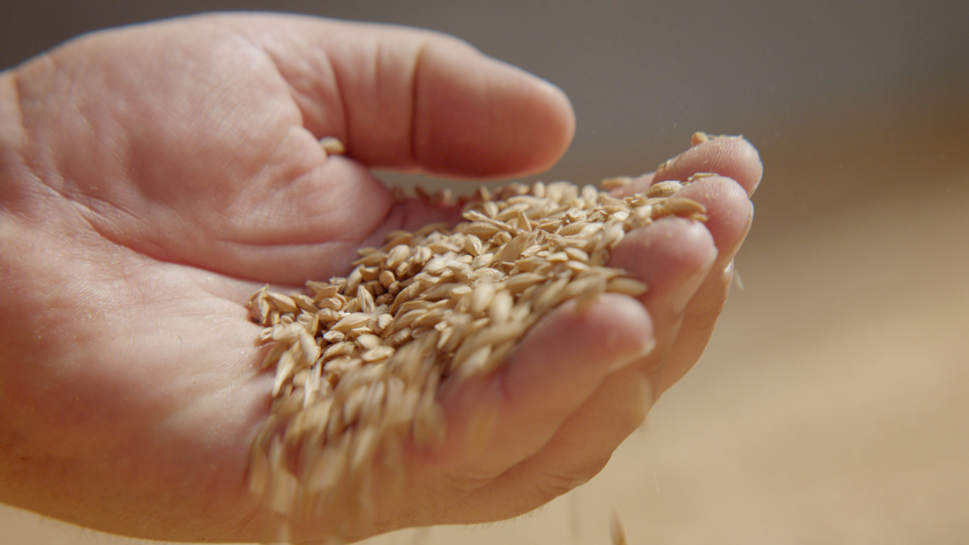 purina_grab_04.jpg