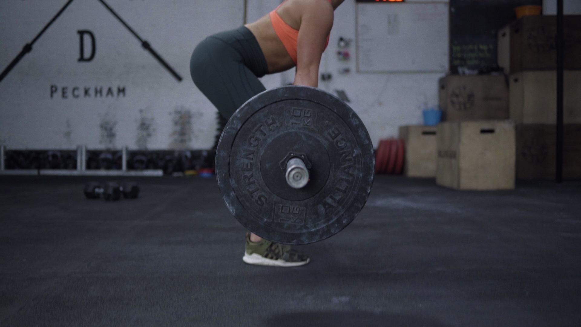 scimx_grab_02.jpg