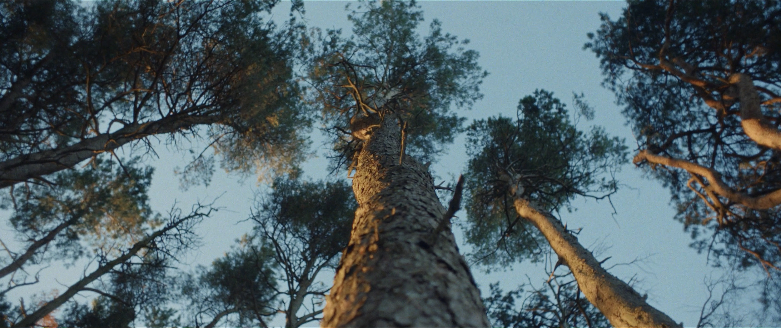 Screenshot 2022-11-01 at 13.19.21.png