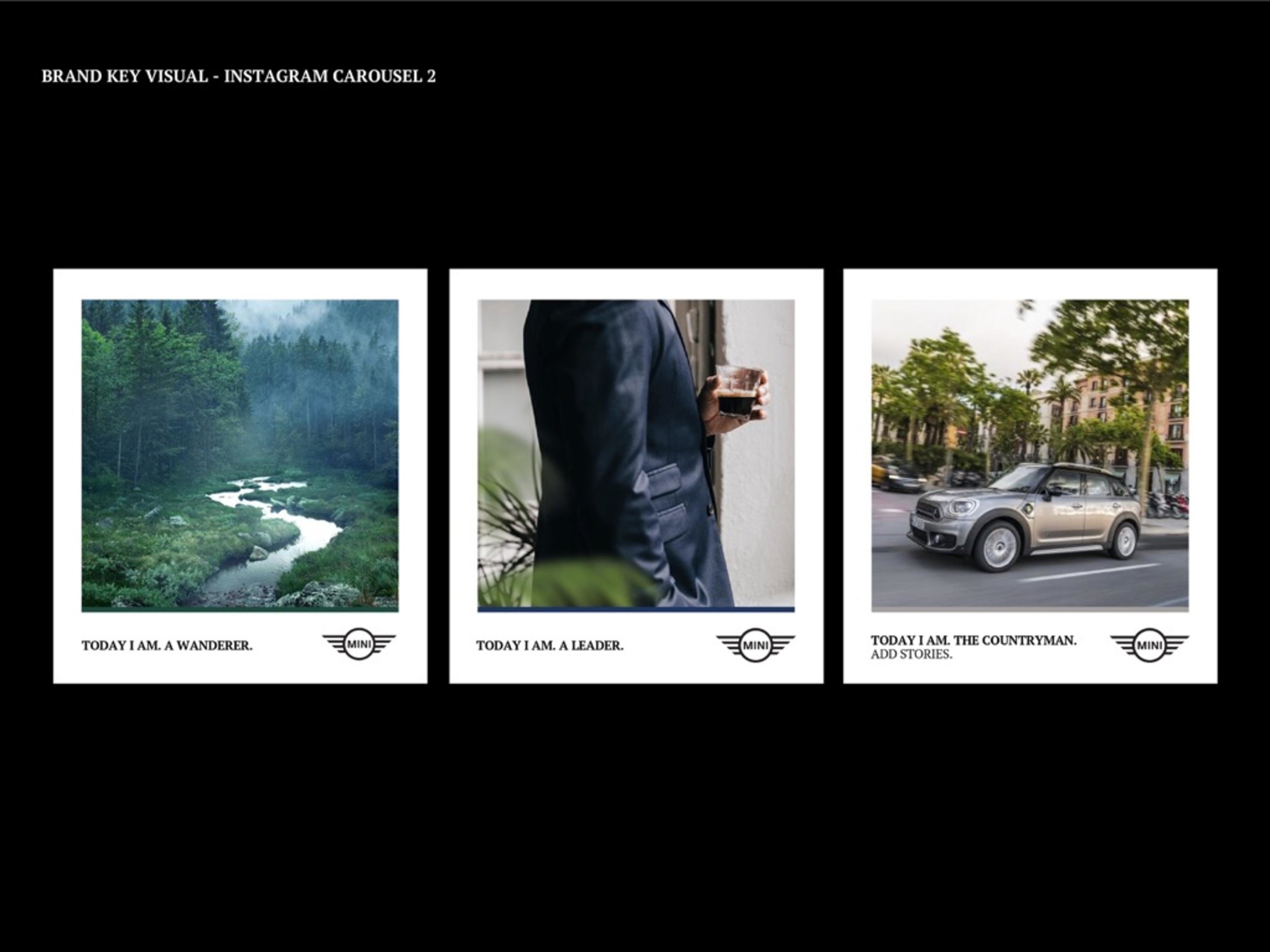 Pages from Pages from BlakLabsMINIpresentation cut down 2-page-003.jpg