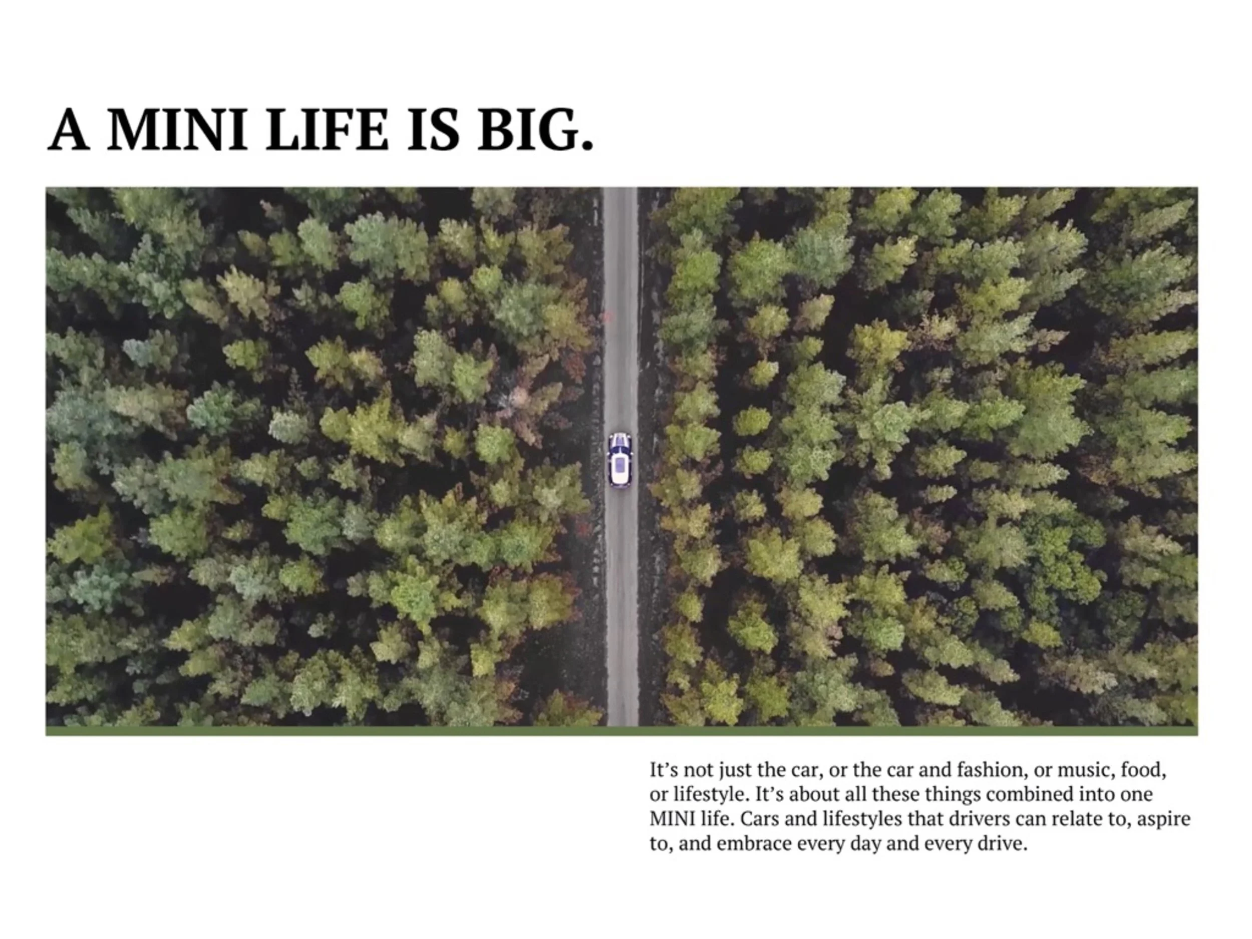 Pages from Pages from BlakLabsMINIpresentation cut down 2-page-020.jpg