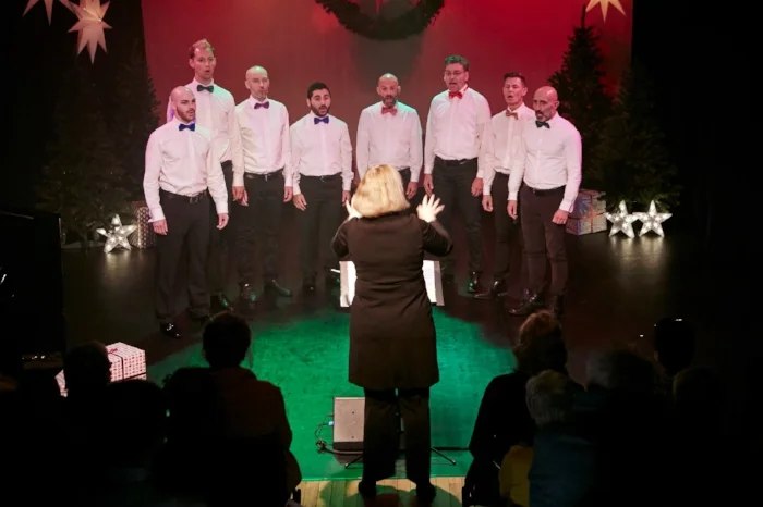 Octet tijdens de Kerstshow 2017 / Octet during the Christmas show 2017