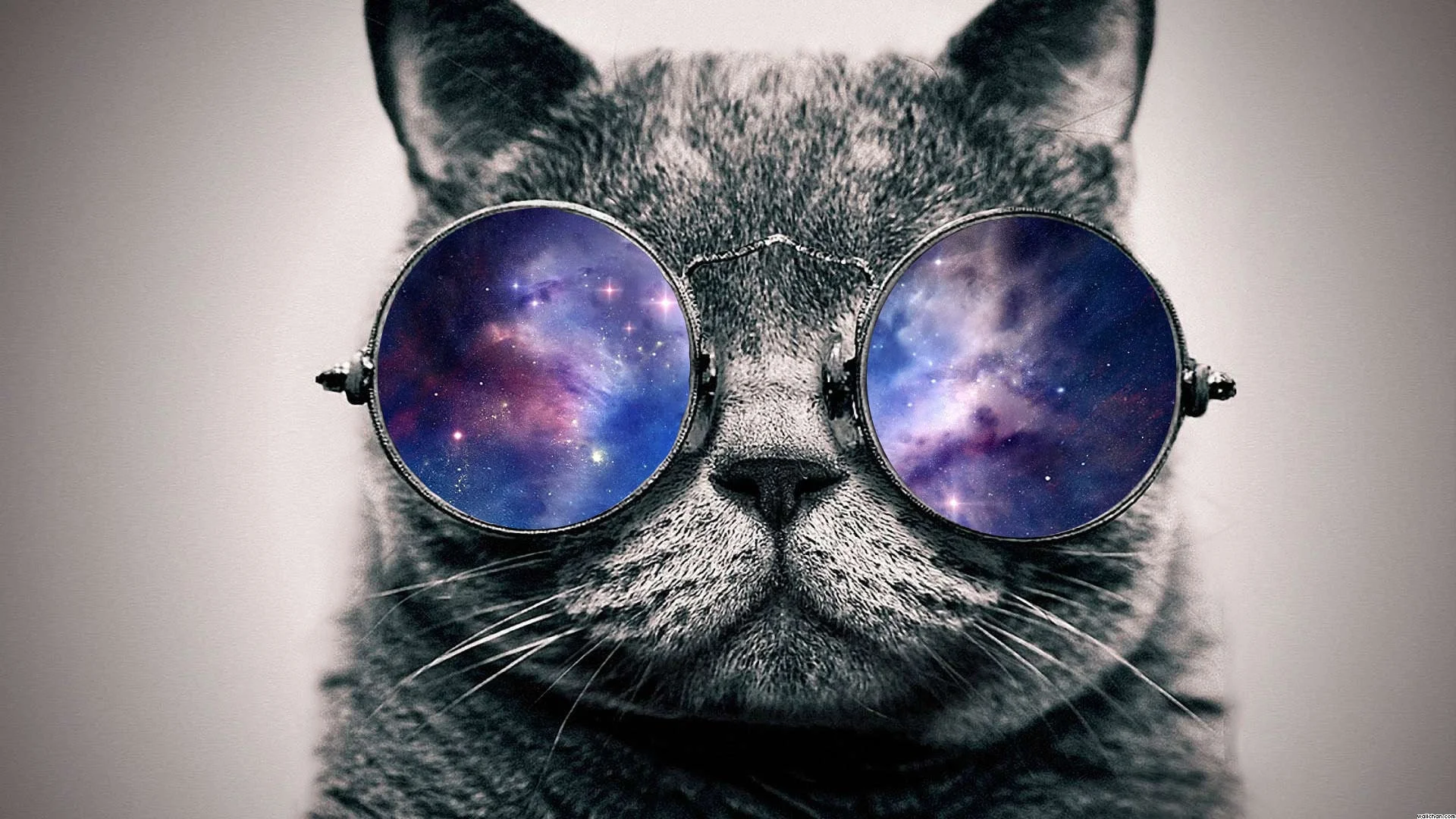 cat_with_galaxy_glasses-8898.jpg
