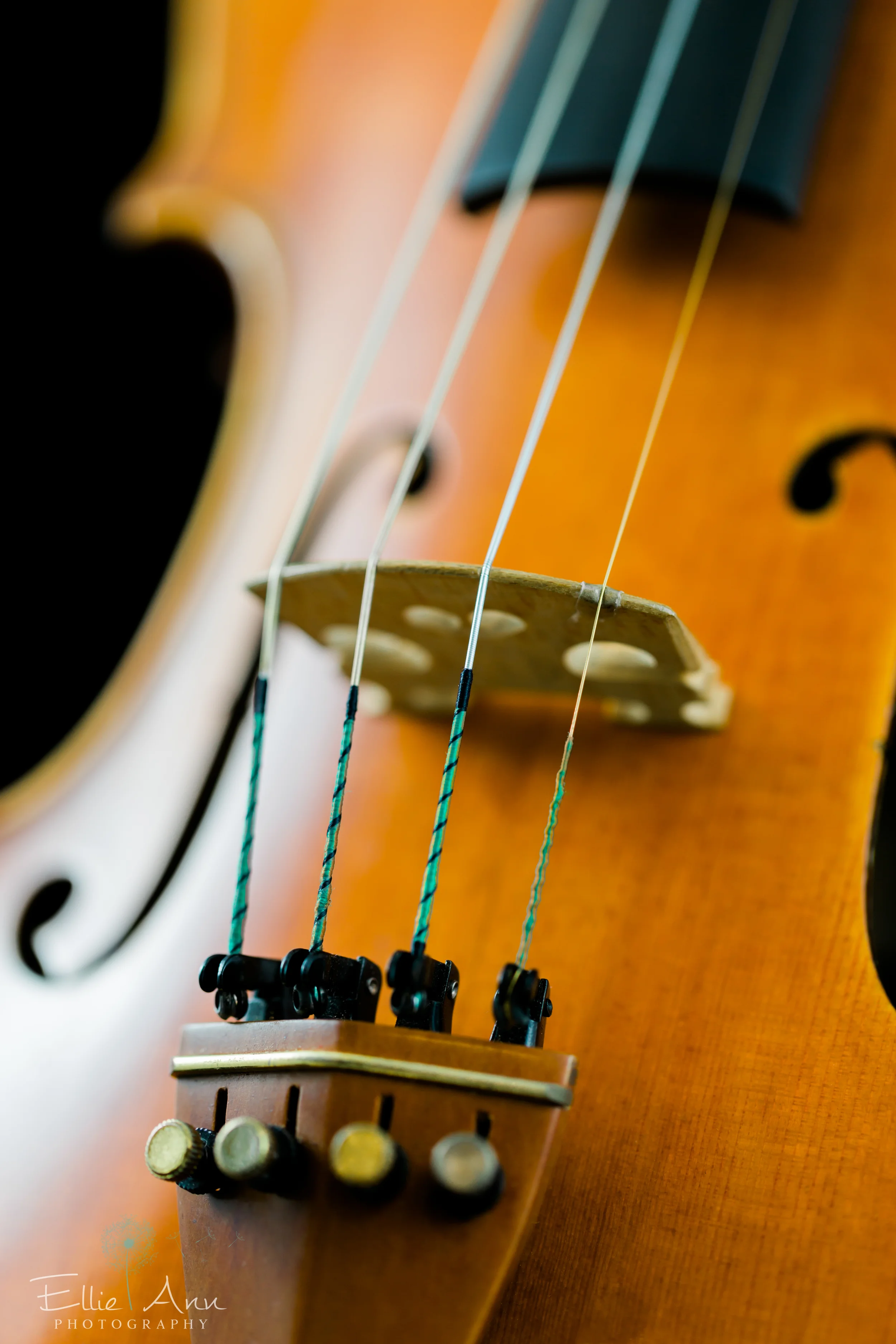 Violin-3.jpg
