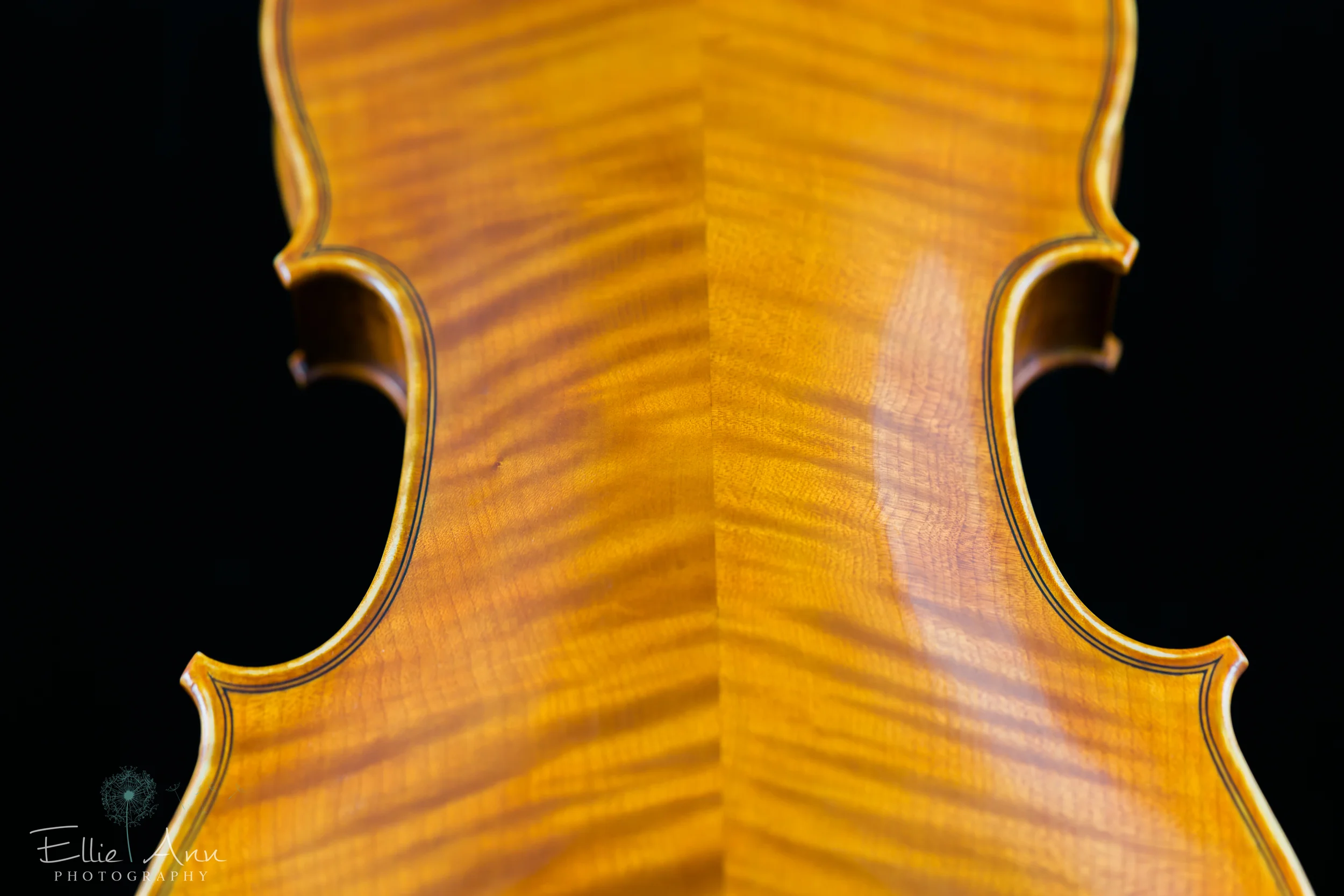 Violin-20.jpg