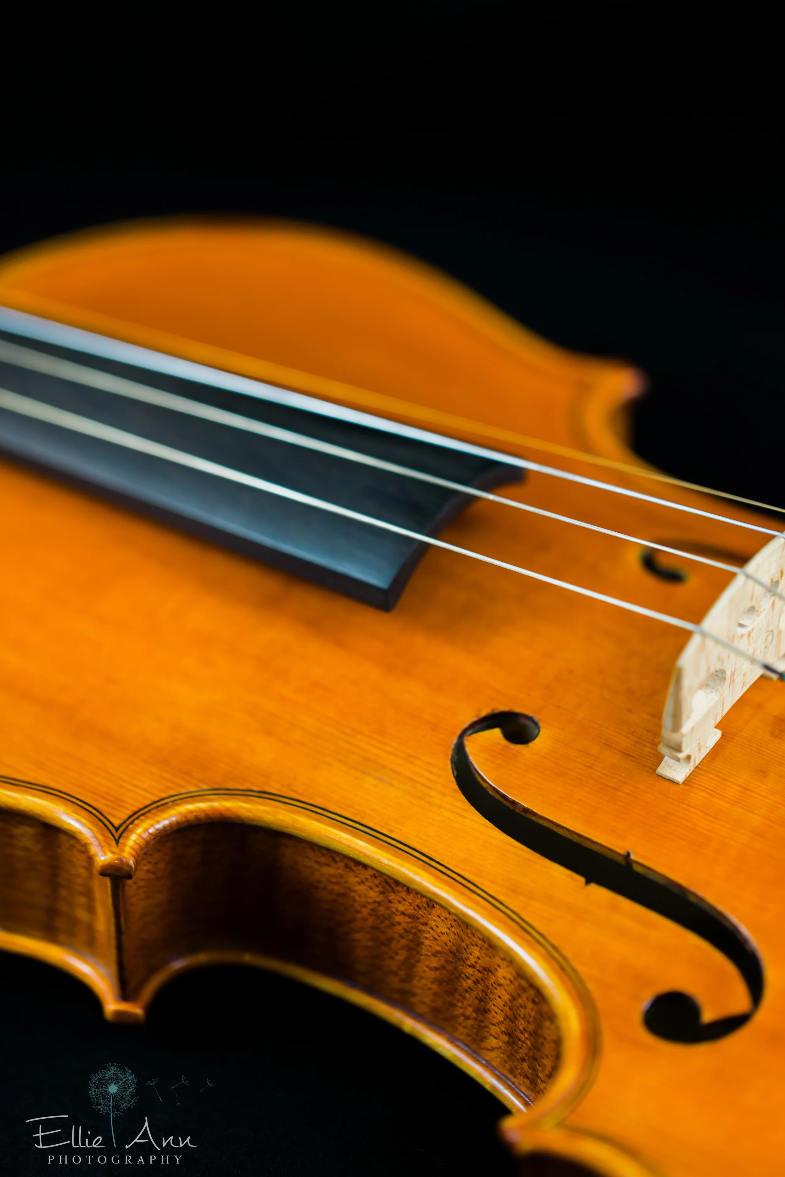 Violin-15.jpg