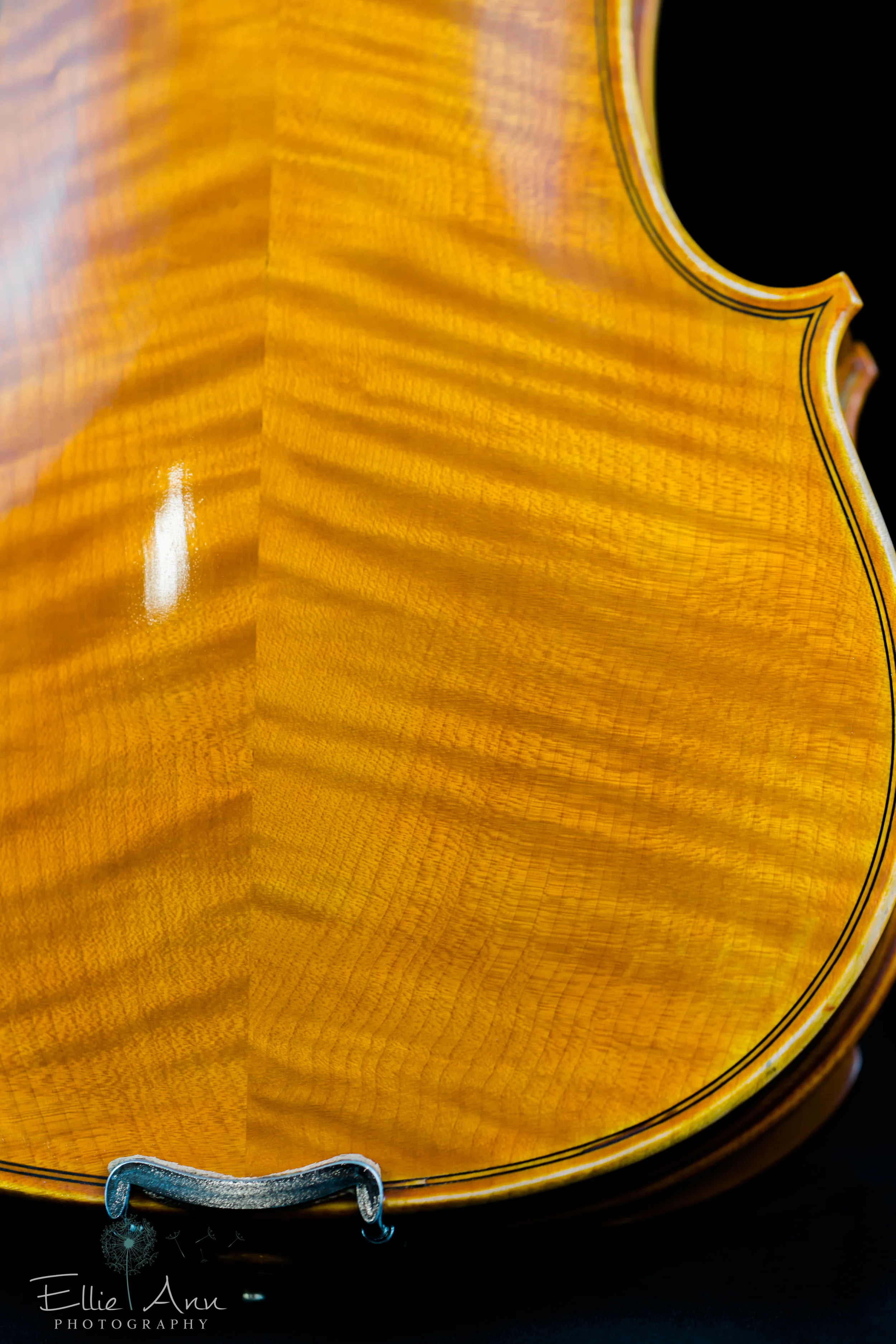Violin-22.jpg