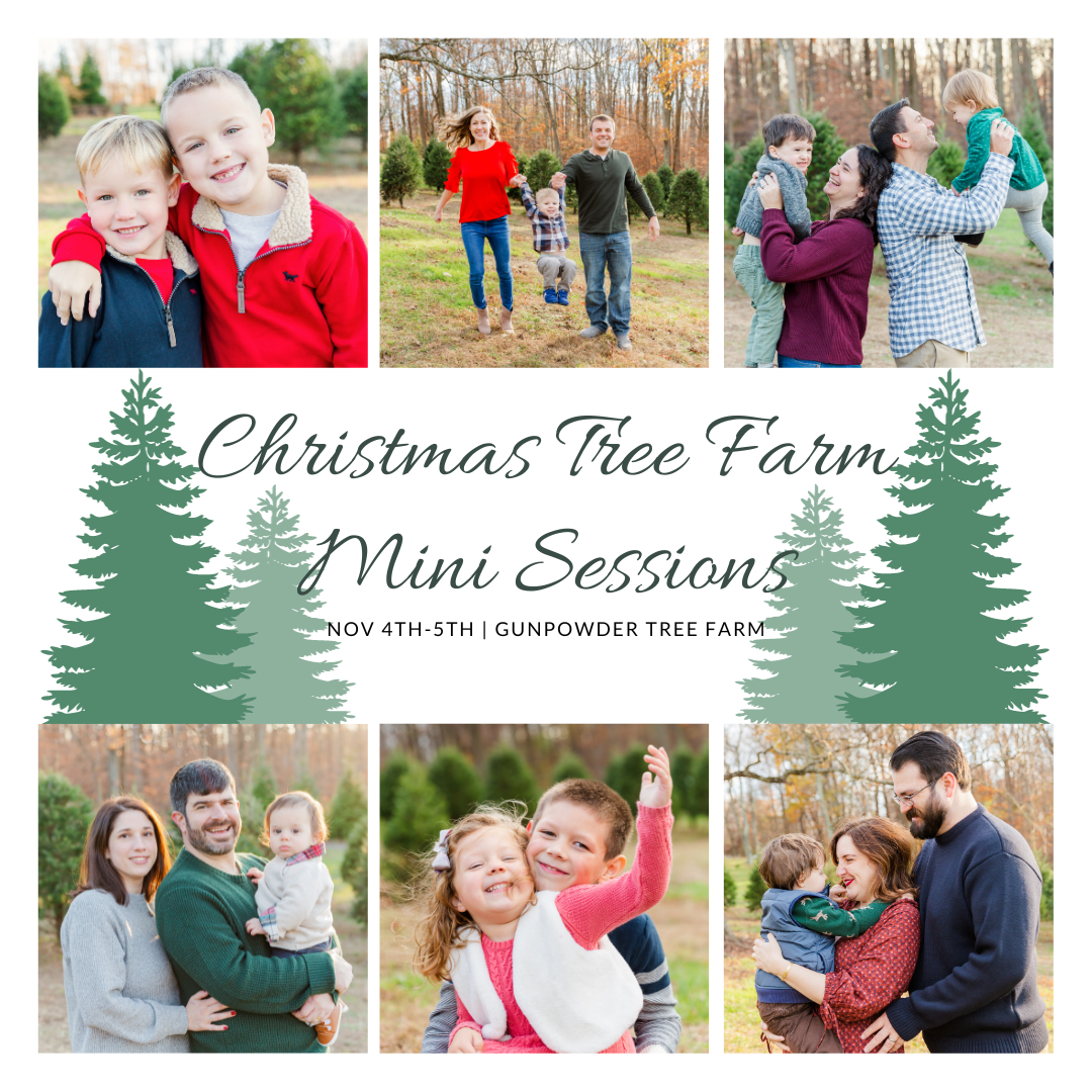 CHRISTMAS TREE MINI SESSIONS — Ellie Ann Photography