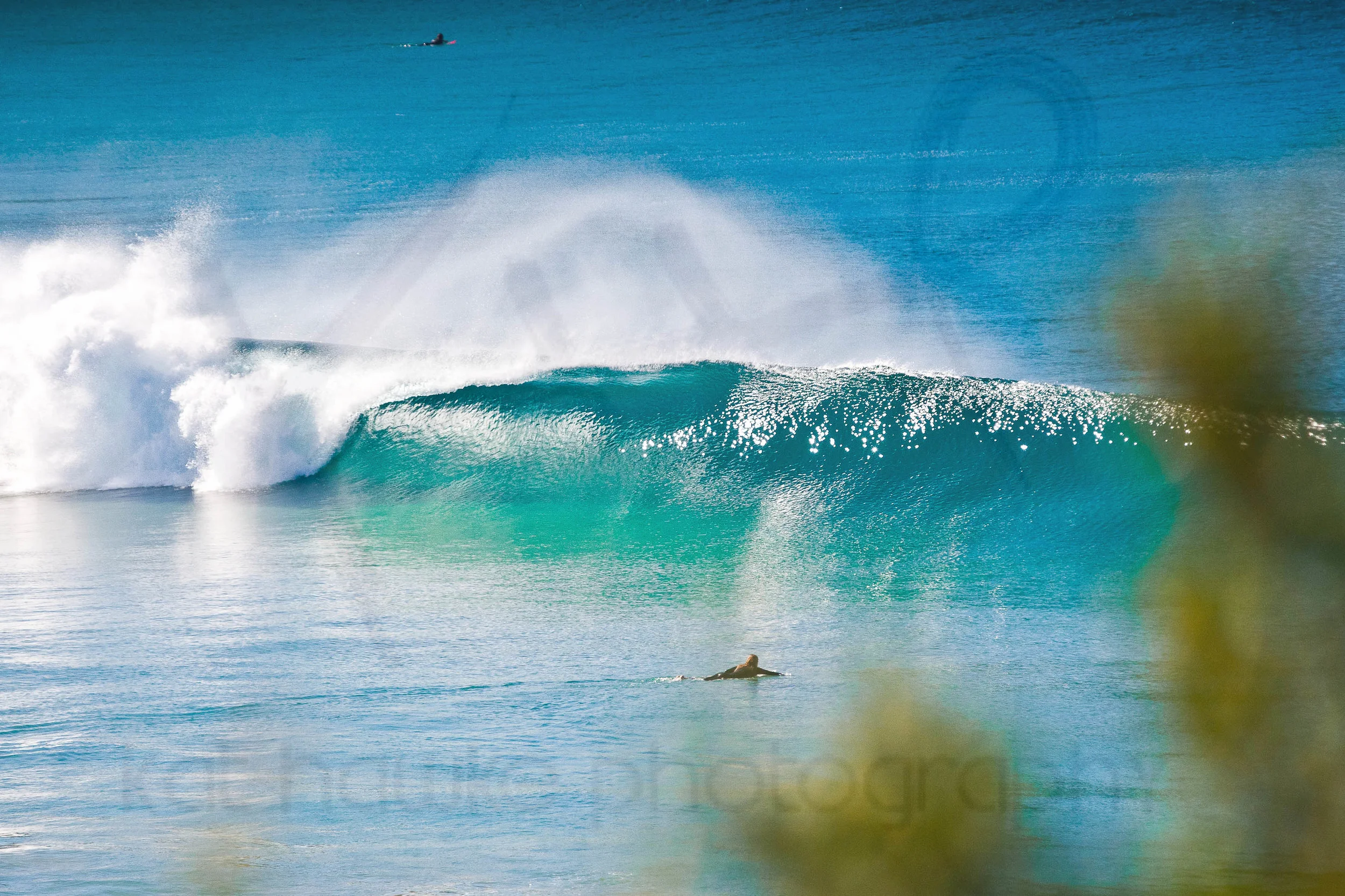 KHP_surf-20.jpg