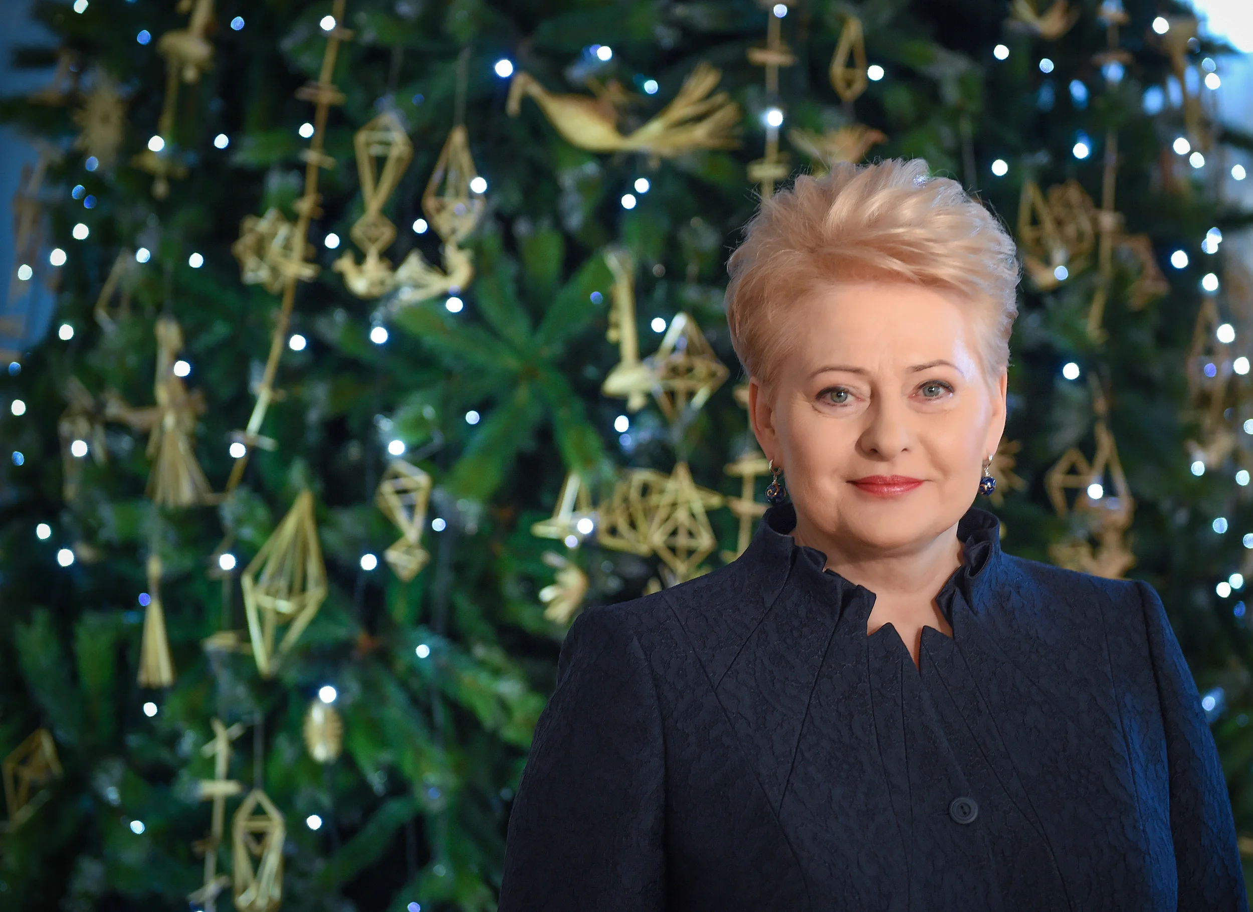 Lietuvos Prezidentės D. Grybauskaitės akcijos ,,Knygų Kalėdos" skaitymai mokykloje