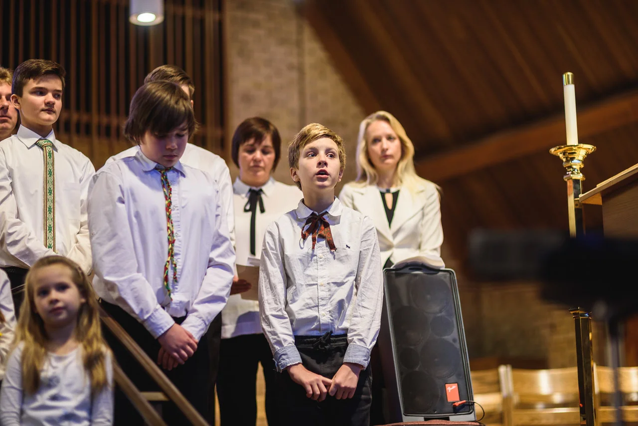 ,,Tau, Tėvyne, skiriu šias eiles"