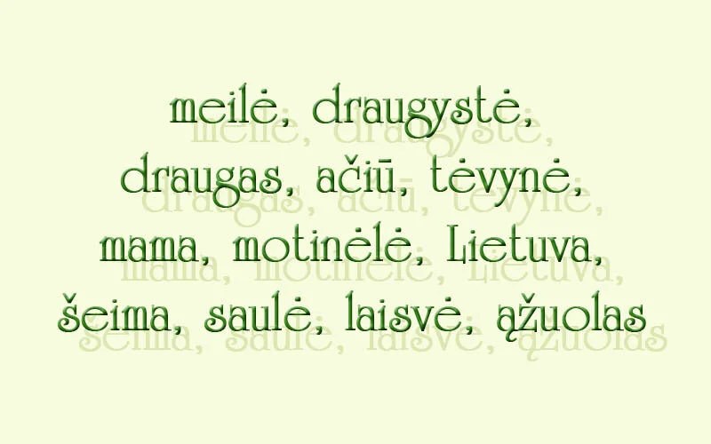 Mokytojos Jolantos lietuvių kalbos pamoka!