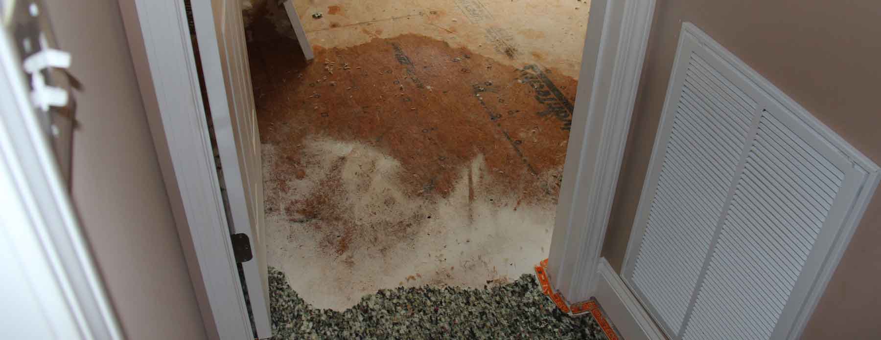 Water Damage Restoration