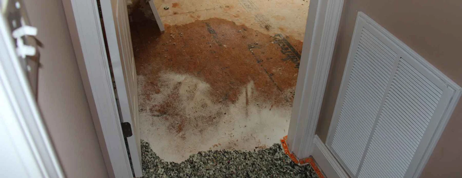 Capital Restoration, Llc photo 6