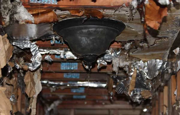 fire smoke damage