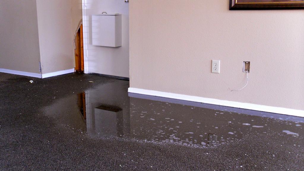 water damage roswell