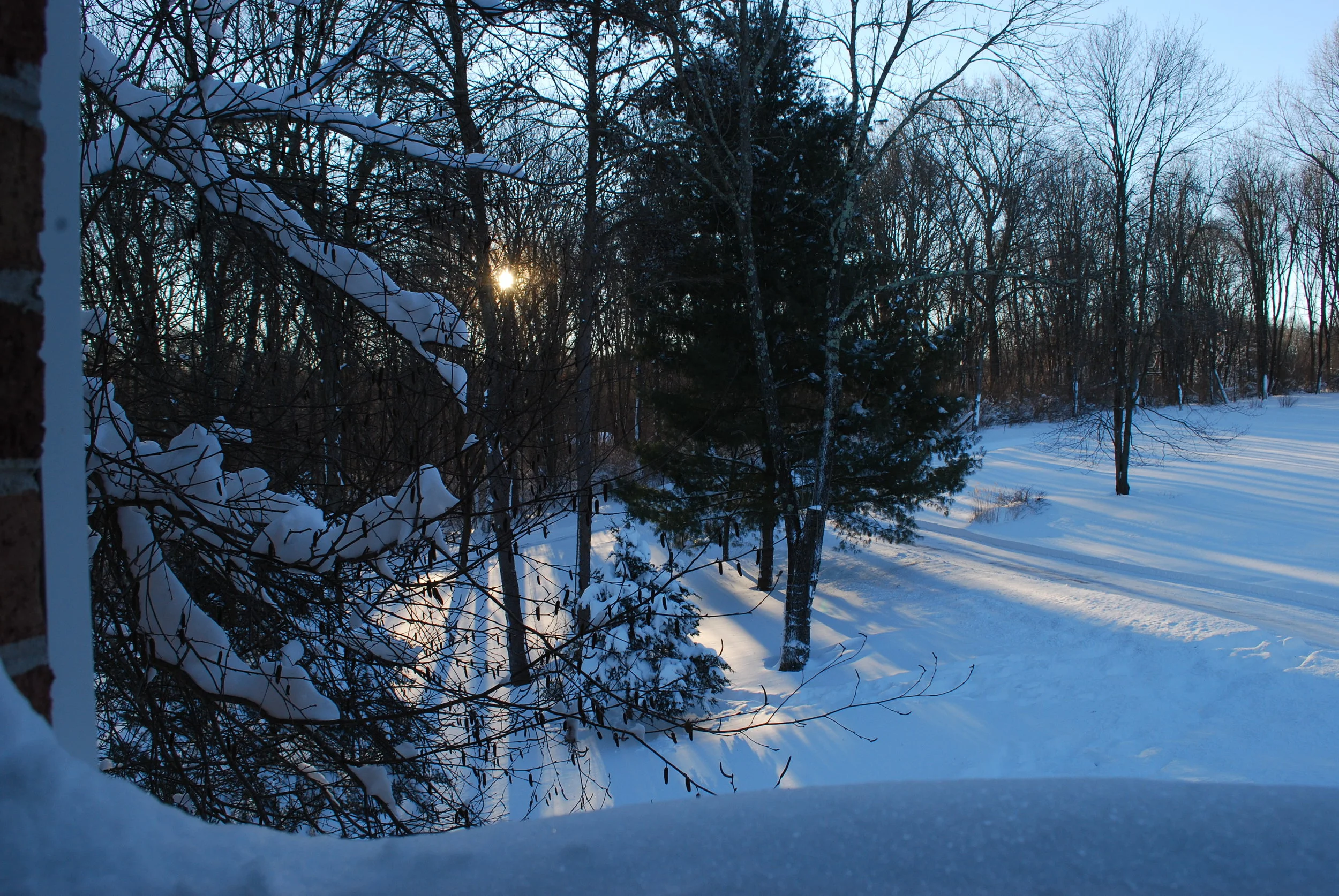 Snow Storm “Jonas” – Students Studied At Home