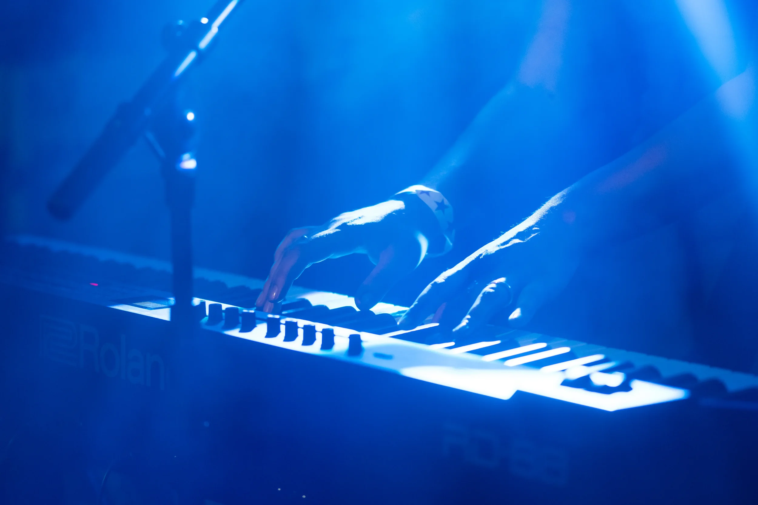 Vorstadt Sounds Festival_Karl Stevam041.webp