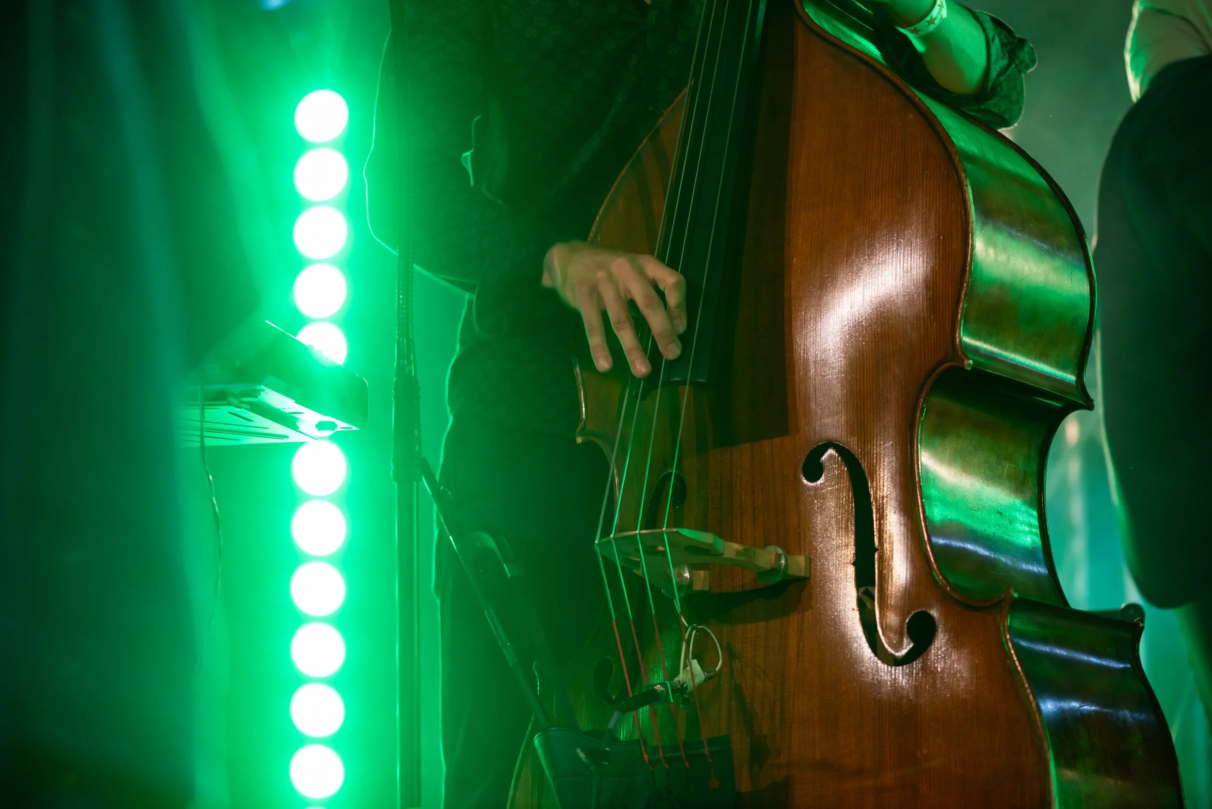 Vorstadt Sounds Festival_Karl Stevam049.webp
