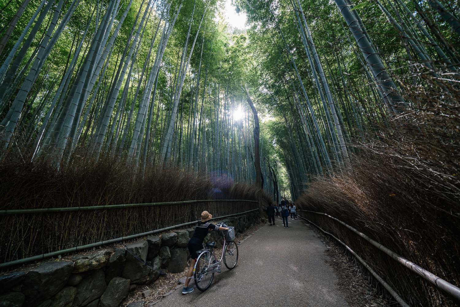  Kyoto, Japan 