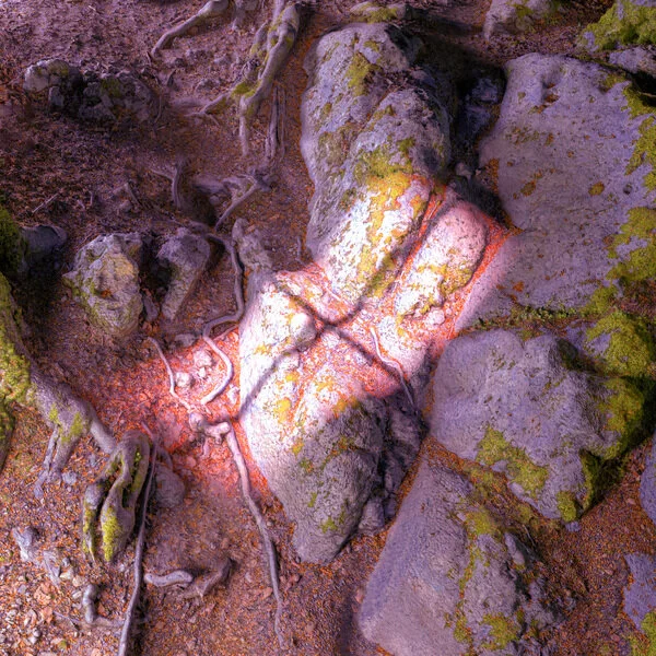  James Rushford,  Lake From The Louvers , Shelter Press LP 2021. 