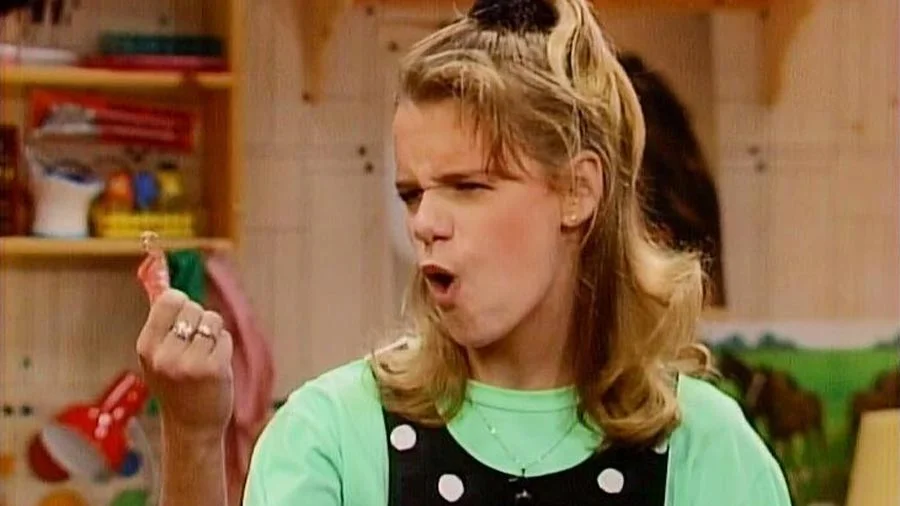 Rejected "Fuller House" Storylines