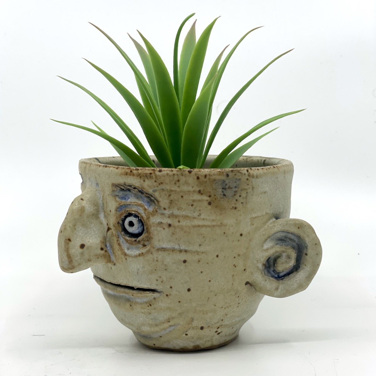 Zackin-May2025-Ceramz-7 - 3.jpeg