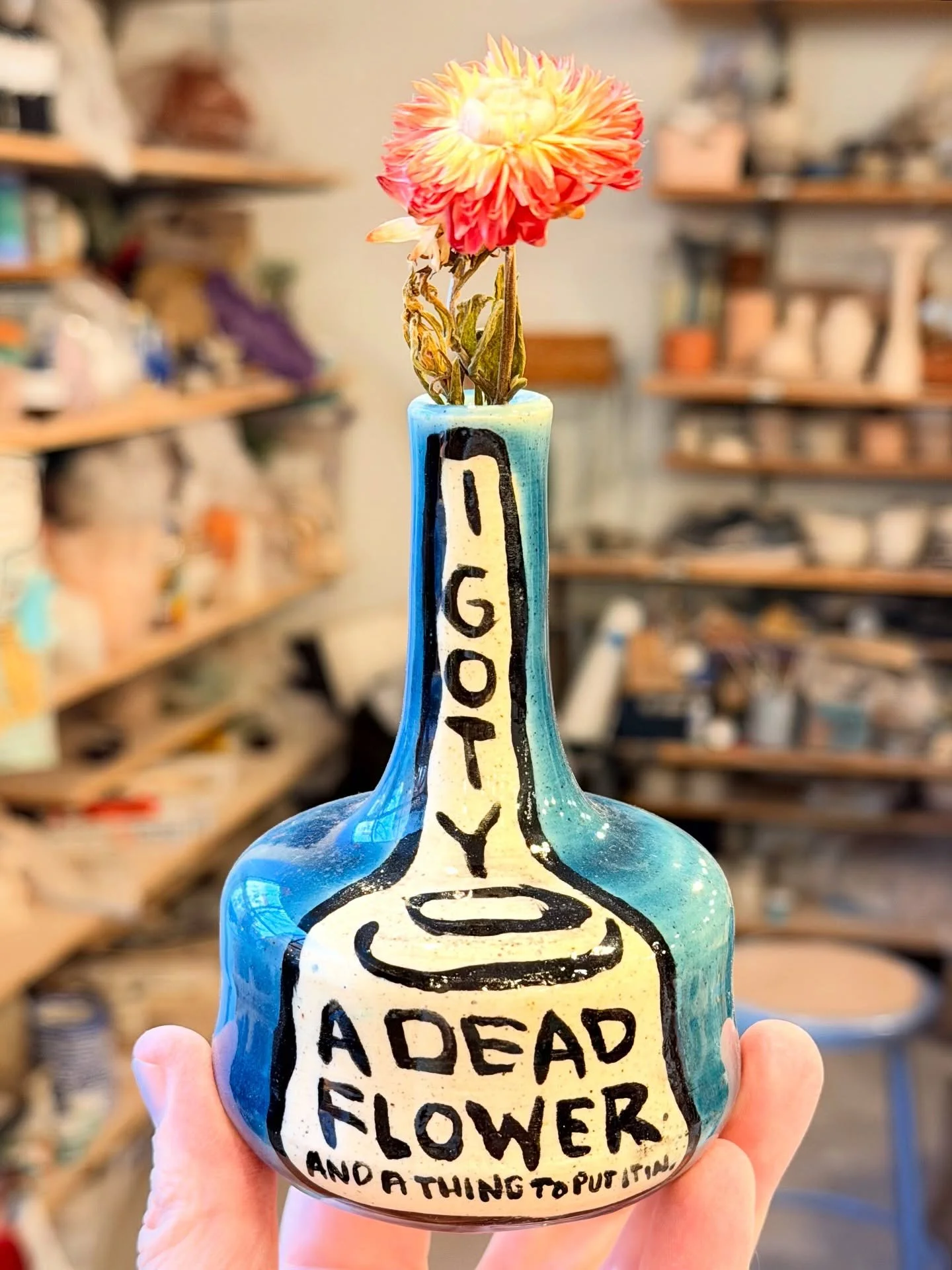 Things to put living and/or dead things in! On my website on the Tuesday before thanksgiving (11/25 at 9pm nyc time).