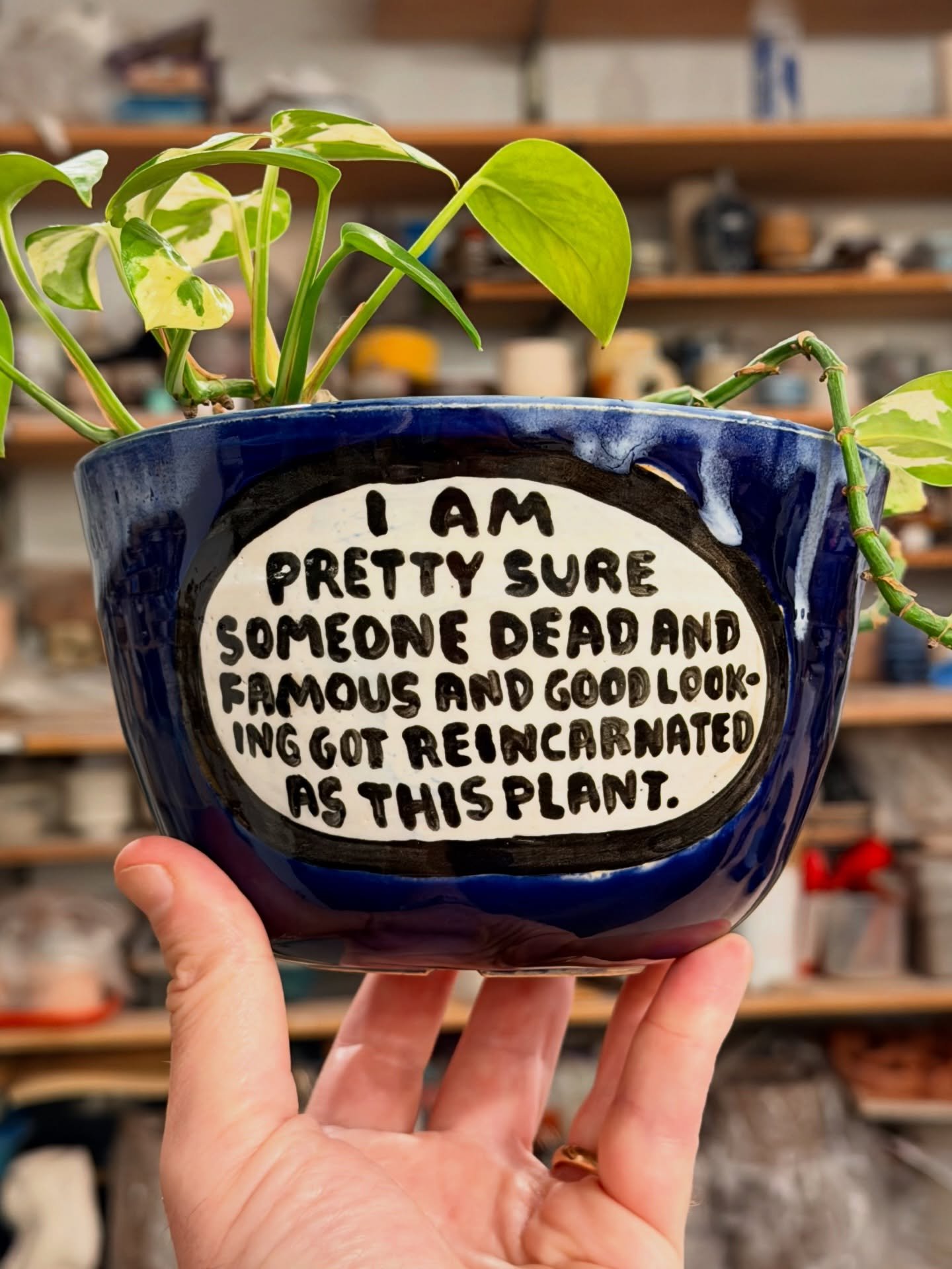 I&rsquo;m always so bad at remembering celebrity names and my plants&rsquo; past lives, but it&rsquo;s on the tip of my tongue.