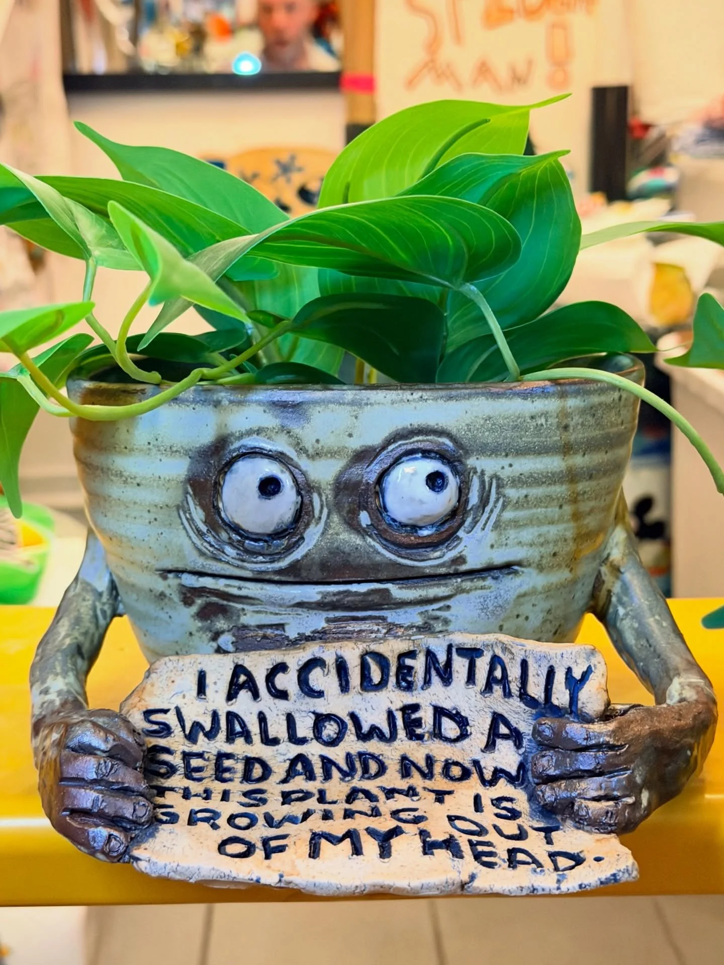 If you point out that the plant in the photo is an artificial plant, I will accuse you of being an artificial plant. I&rsquo;ll probably do a website update with all the recent pots soon.