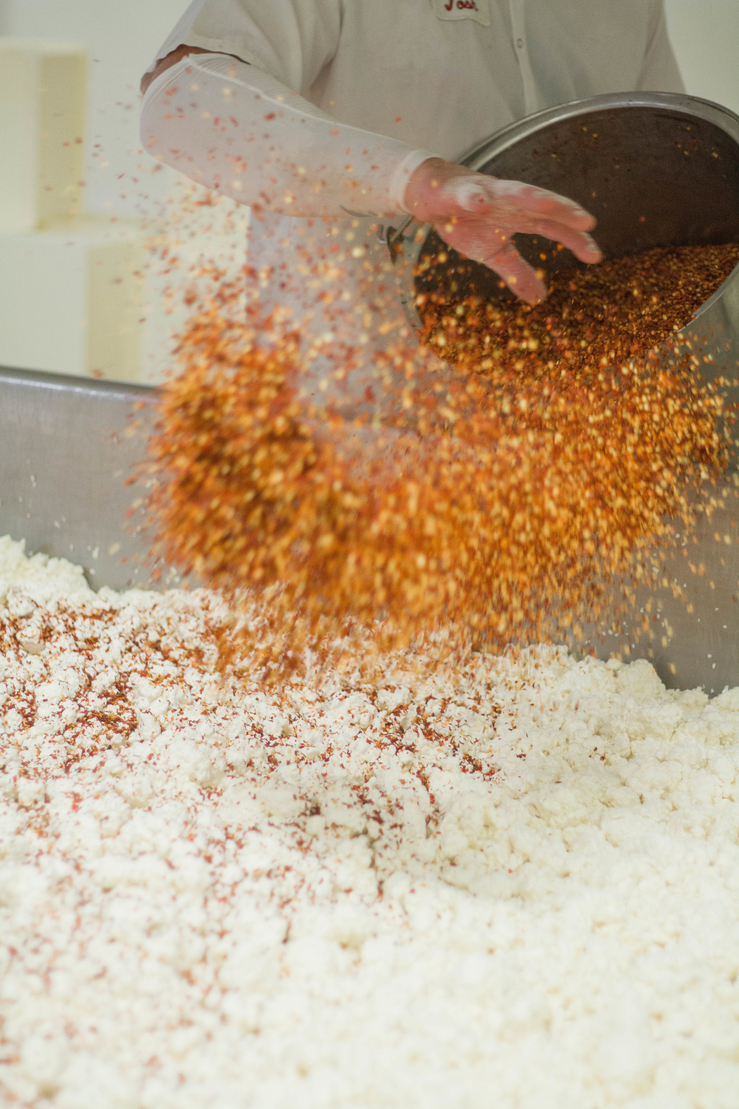 Master Cheesemaker Josh Krause hand scatters peppers into the Asiago Curd.