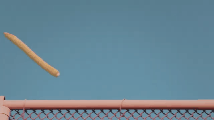 giphy.gif