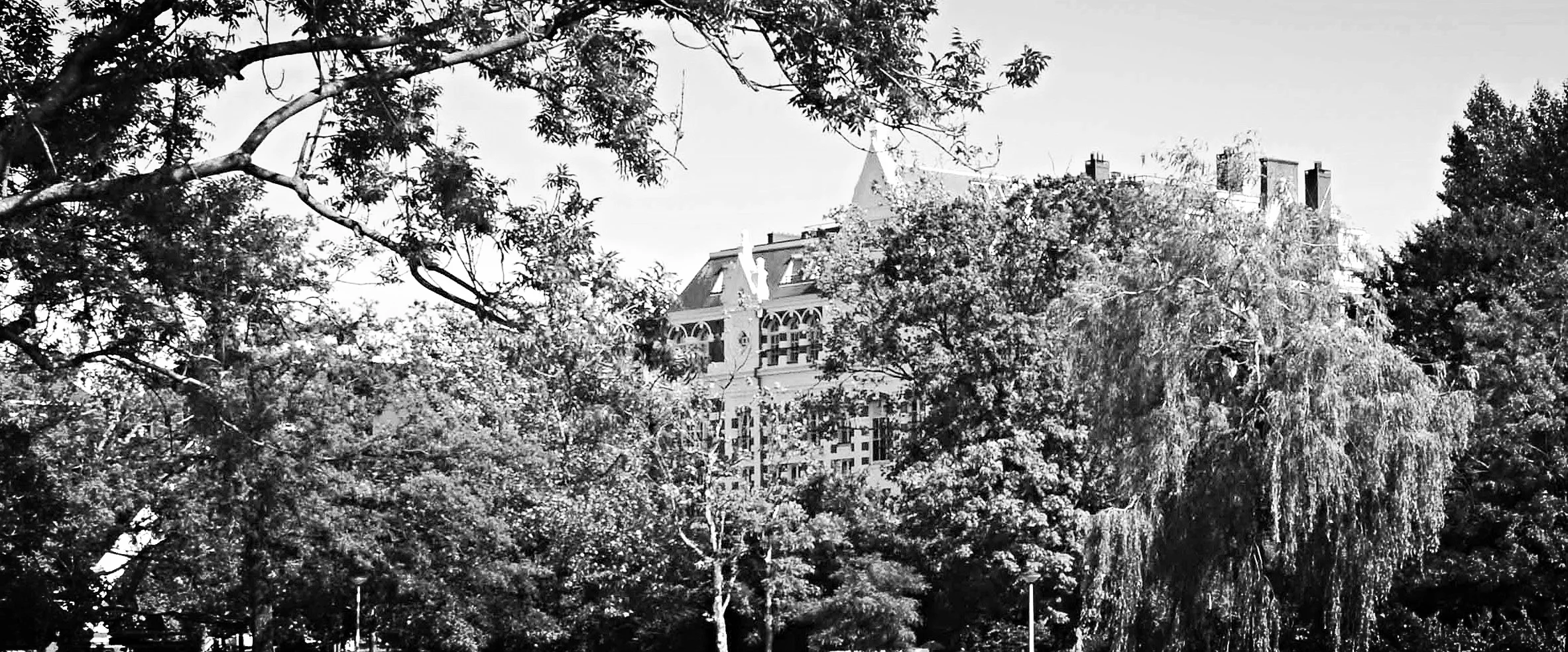 MVO_Maatschappelijk Verantwoord Ondernemen.jpg