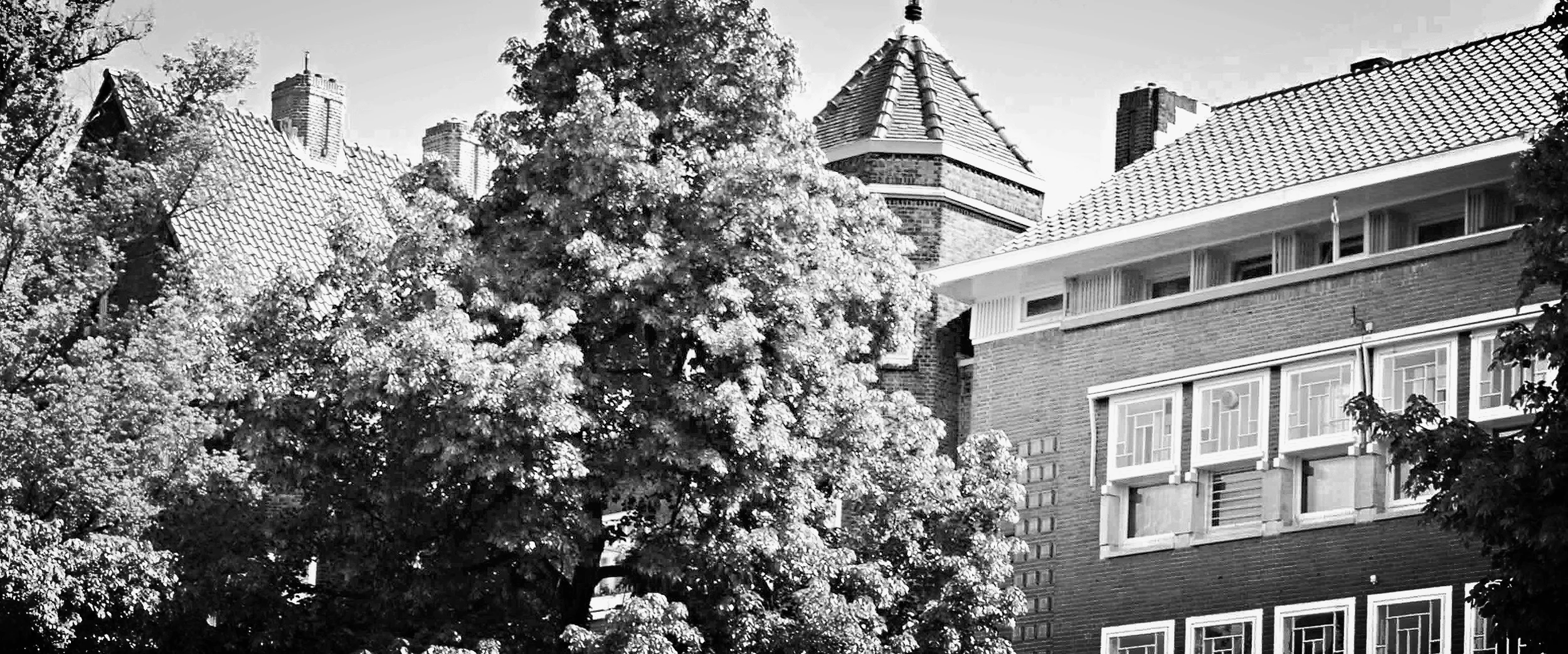 algemene voorwaarden juridische dienstverlening.jpg