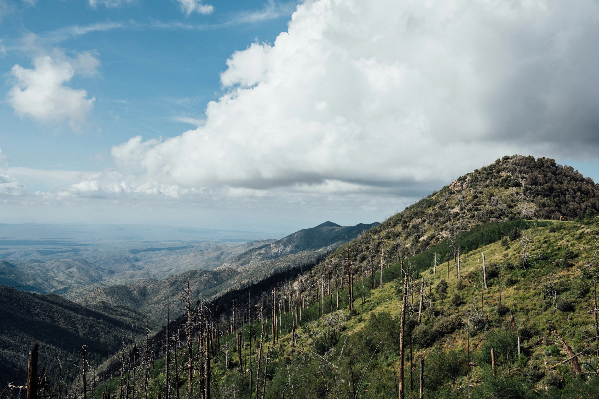 mtlemmon-1.jpg