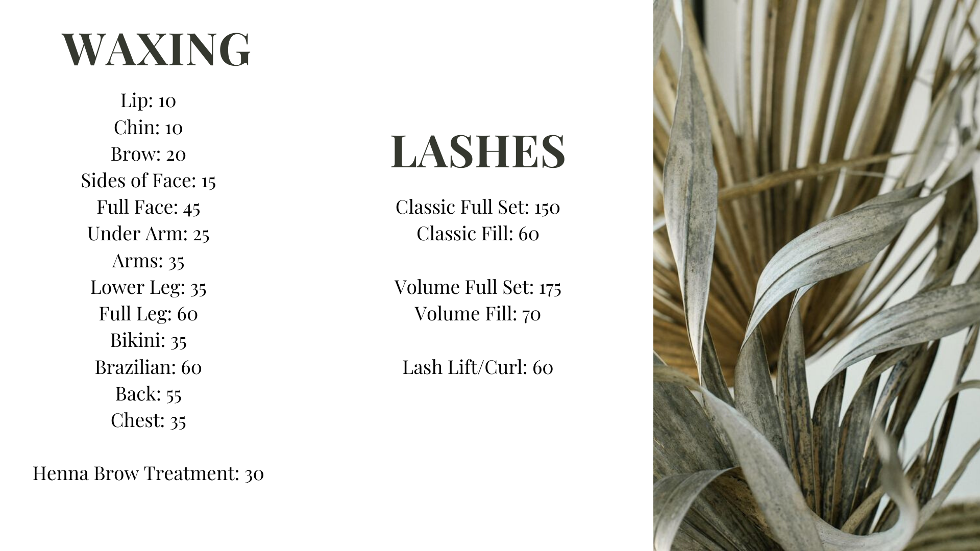 Encinitas Hair Salon & Spa Cielo — Cielo Hair & Skin Salon