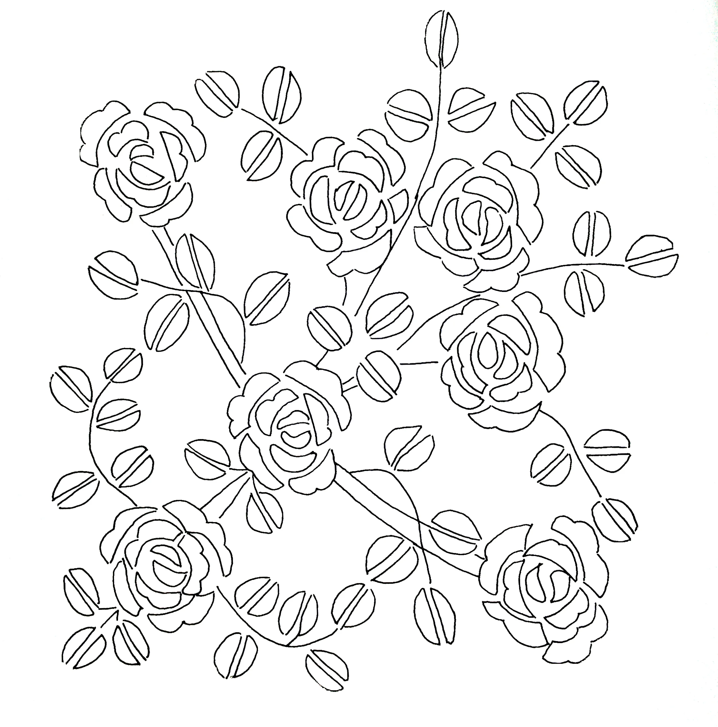 The model used
