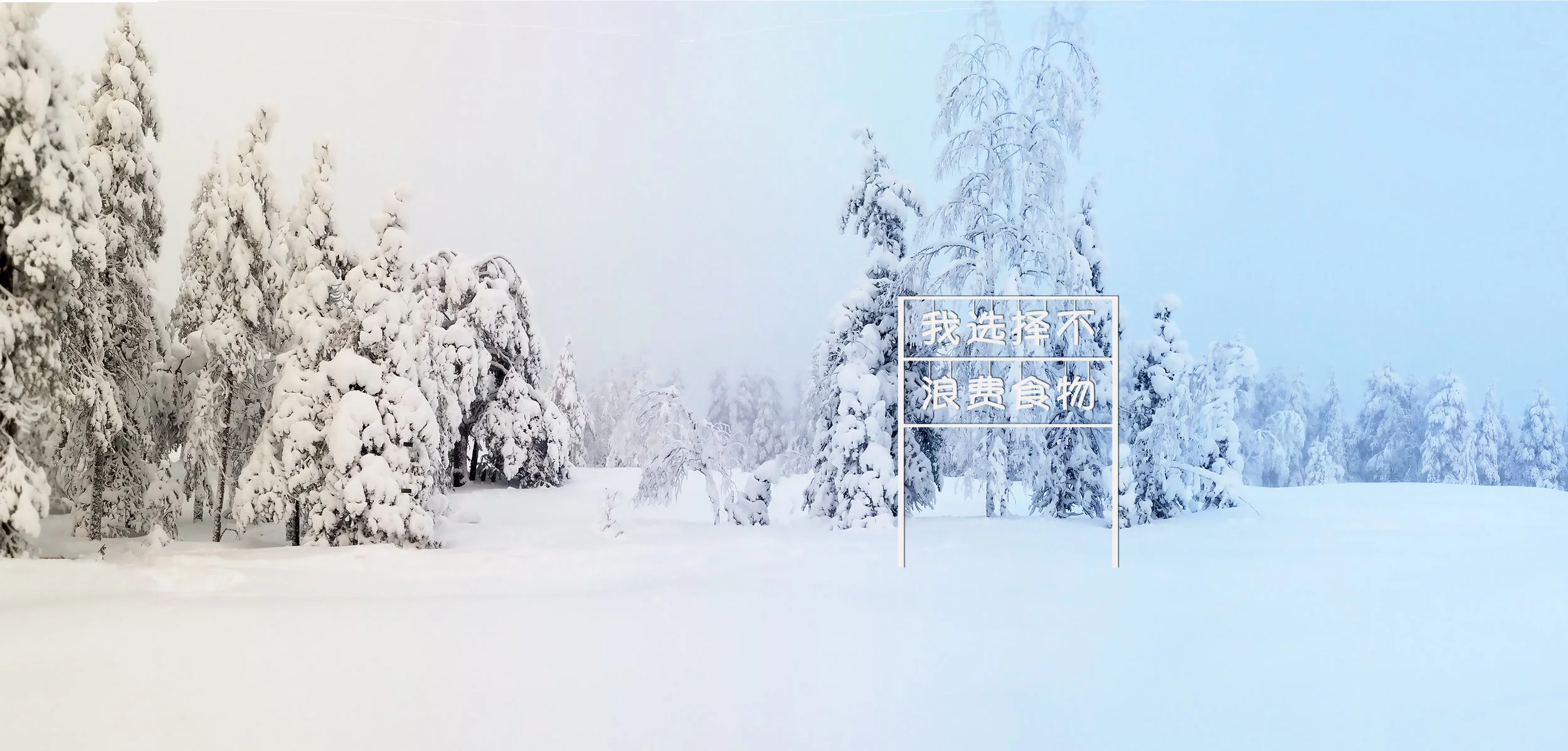 Due to the global nature of the questions involved, the work includes text about available choices in three languages - Finnish, the native language spoken on the site of the artwork, Chinese, the worlds most common language, spoken by 1.2 billion native speakers, and English, the worlds most common second language. 