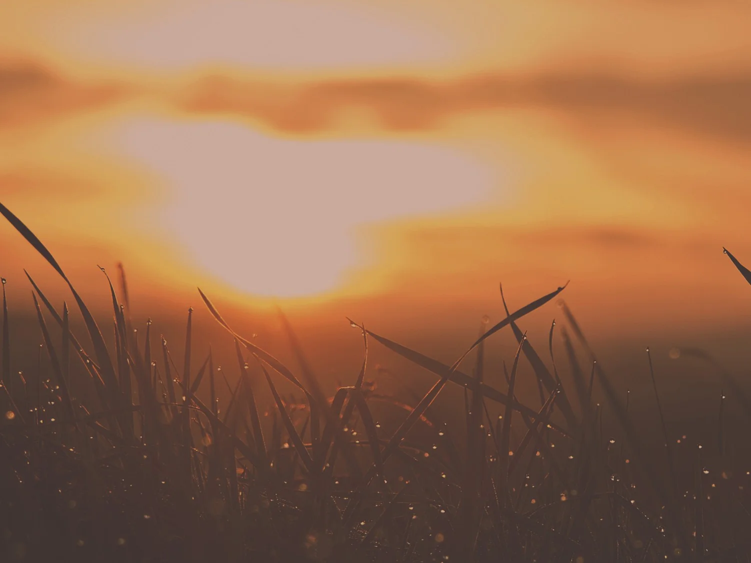 Leading by Example Father's Day Church Background.jpg